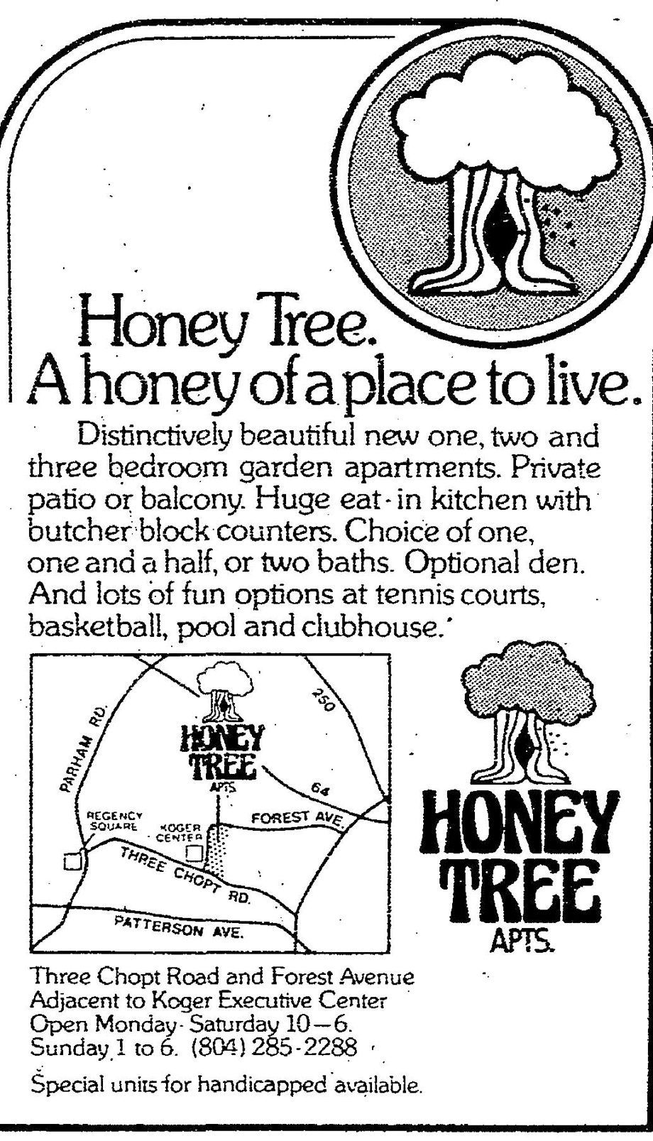 Honey tree.jpg